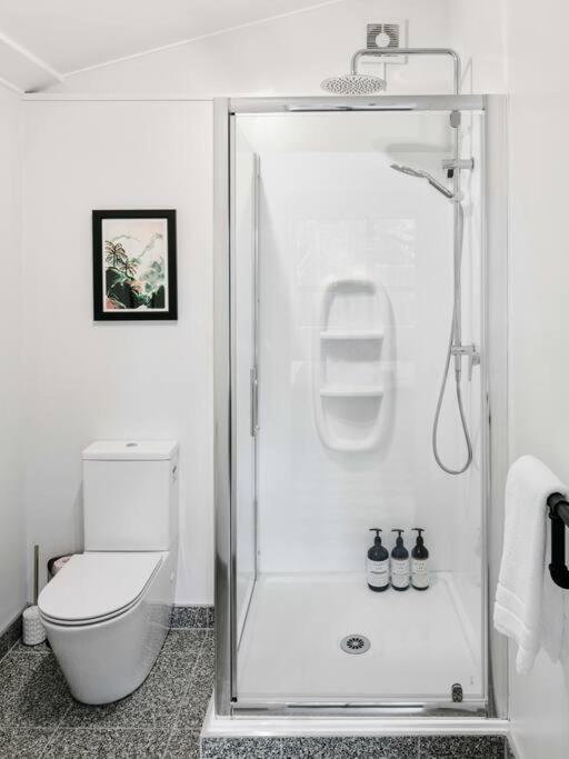 Апартаменти 950M To Cbd - Instant Book Tidy Unit Гізбурн Екстер'єр фото